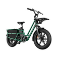 Fiido T2 Longtail Cargo E-bike